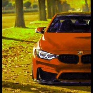 Meet your Posher, Ripton